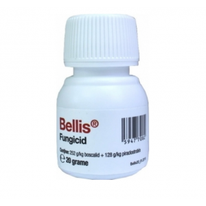 Bellis - 20 g