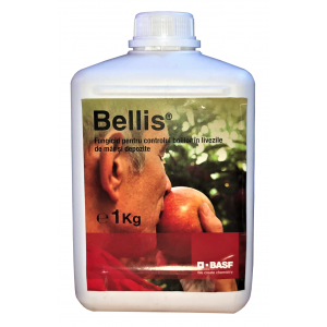 Bellis 1kg