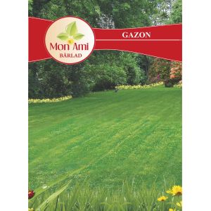 Gazon ornamental cu crestere lenta - 1KG