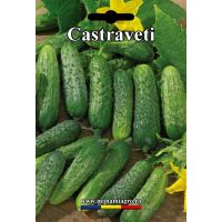 Castraveti Parisian Pickling - 10gr