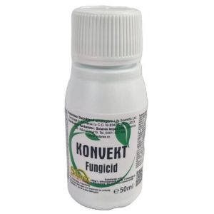 Konvekt - 50 ml
