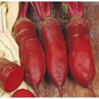 Sfecla rosie Cylindra - 5gr