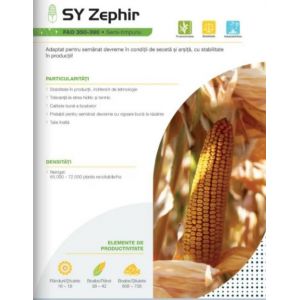 Porumb Zephir Syngenta - 50.000 sem