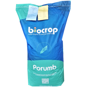 Porumb Norico 80.000 sem./cca. 25.4 kg 