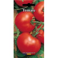 Tomate CampBell - 1gr