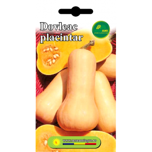 Dovleac placintar Waltham Butternut - 5g
