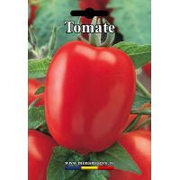 Tomate Darsirius - 5 gr