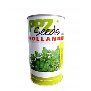 Patrunjel de frunza Italian Giant - 500g