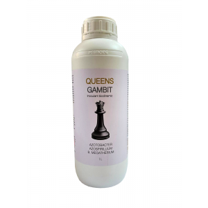 Queens Gambit 1L