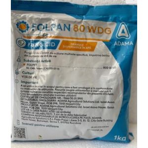 Folpan 80 WDG - 1 kg