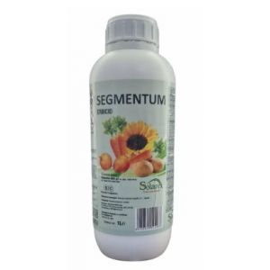 Segmentum - 1 l