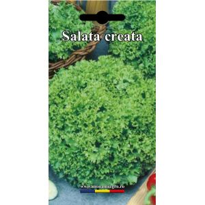 Salata creata Lollo Bionda  - 2gr