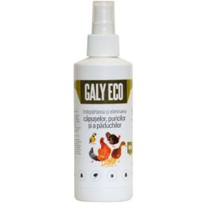 Galy Eco - 100ml