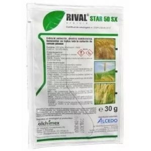 Rival Star 50 SX - 30 g