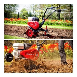 Motosapatoare Pubert ARO 55P C3