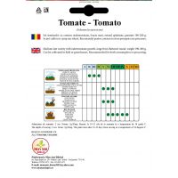 Tomate Buzau 1600 - 5 gr