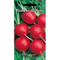 Ridichi Cherry Belle - 5gr