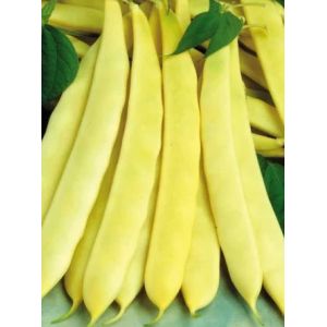 Fasole pitica galbena lata Capitano- 1kg