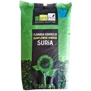 Floarea soarelui Suria 75.000 sem.