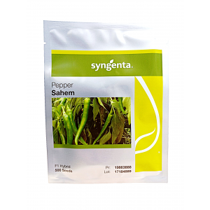 Ardei Sahem F1 - 500 sem.