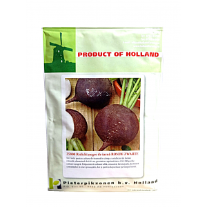 Ridichi negre de iarna Ronde Zwarte - 50g