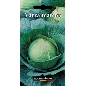 Varza toamna De Buzau - 5gr