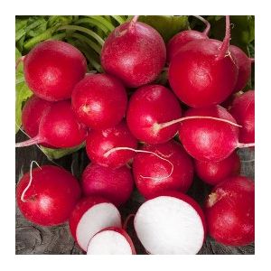 Ridichi Cherry Belle - 10gr