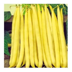 Fasole pitica galbena Tambora - 1 kg