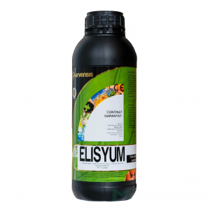 Elisyum - 1L