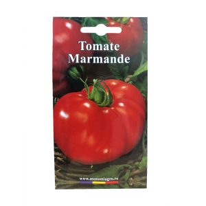 Tomate Marmande - 1 g