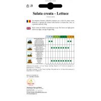 Salata creata Lollo Bionda  - 2gr