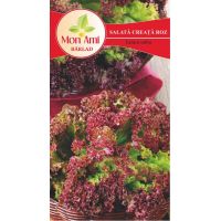 Salata Creata Lollo Rossa - 4gr