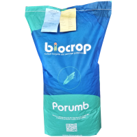 Porumb Norico 80.000 sem./cca. 25.4 kg 