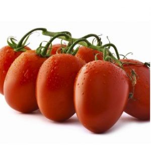 Tomate Rio Grande - 10 gr