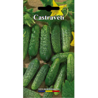 Castraveti Parisian Pickling - 4gr