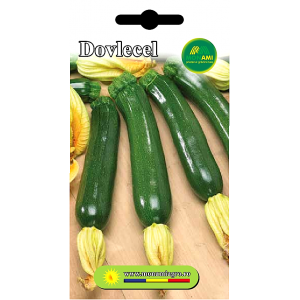 Dovlecel Black Beauty - 5g