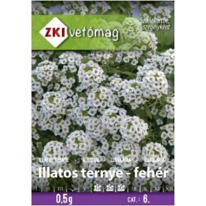 Alyssum alba 