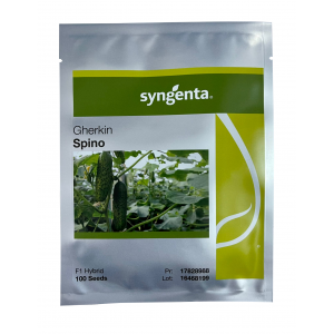 Castraveti Spino F1 100 sem.