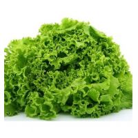 Salata creata Lollo Bionda  - 2gr