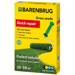 Gazon Barenbrug repair - 1 kg