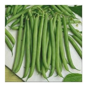 Fasole pitica verde Jaguar - 1 kg
