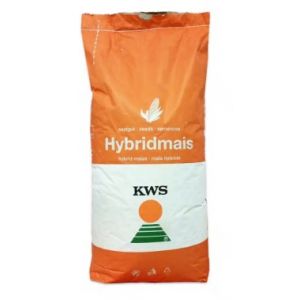 Porumb Kinemas KWS - FAO 350 - 25000 sem