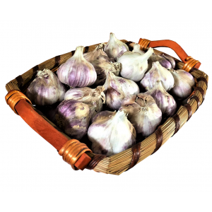 Usturoi samanta Morado - 1 kg