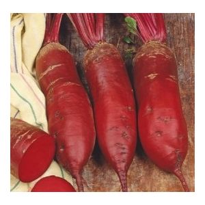 Sfecla rosie Cylindra - 5gr