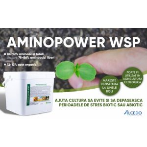 AMINOPOWER - WSP 4 kg