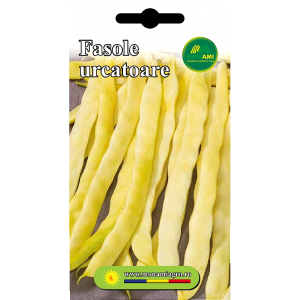 Fasole urcatoare galbena lata Baldana - 10g