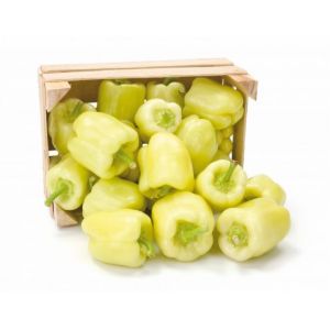 Ardei gras Getic - 1000 seminte