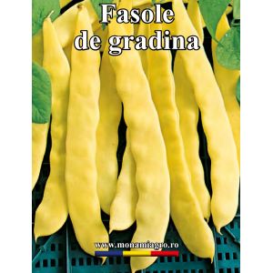 Fasole urcatoare galbena Goldmarie - 50gr