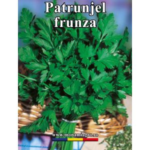 Patrunjel frunza Italian Giant - 10gr