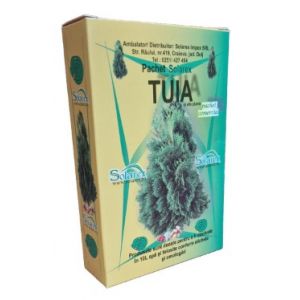 Pachet tuia si alte plante ornamentale